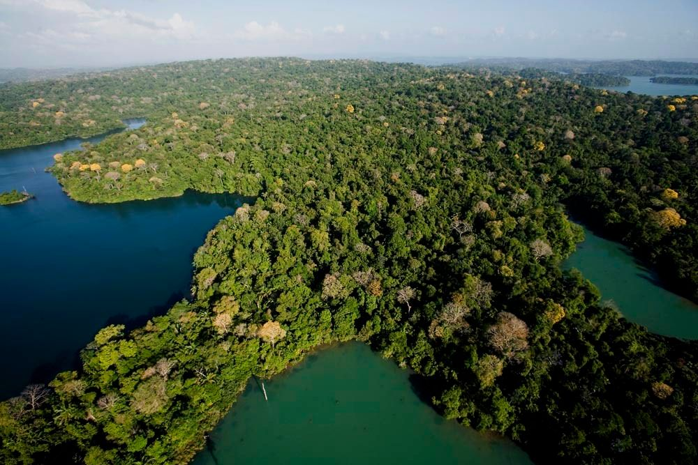 Aerial view of Barro Colorado Island, Panama