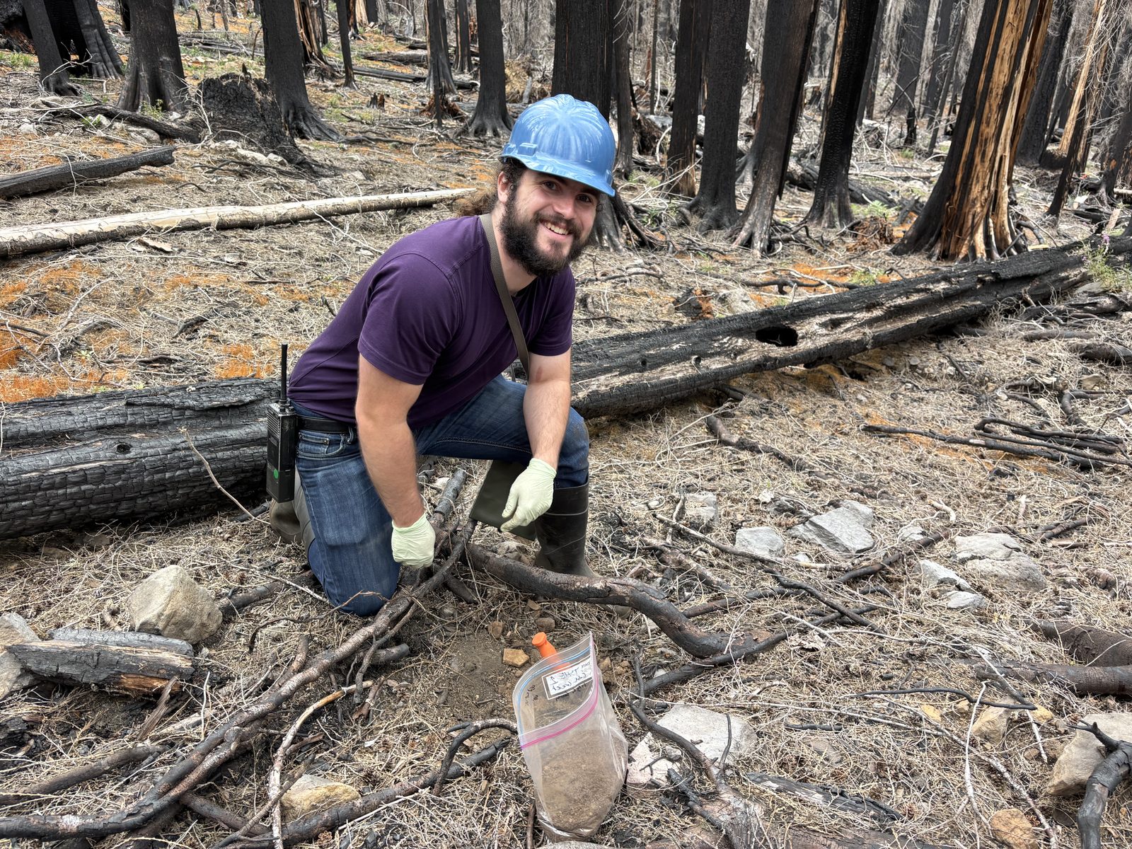 Joe Gagne conducting fieldwork in a recently burned forest