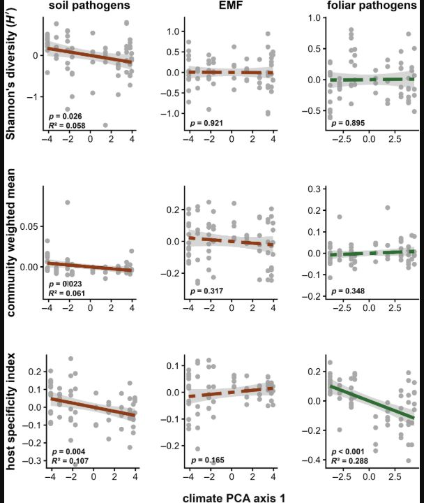 Graphs relating climate to fungal diversity, relative abundance, and host specificity across three fungal guilds