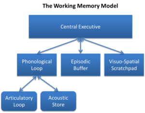 Baddeley and Hitch's multicomponent model of working memory (1974).