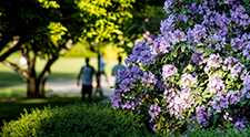Oregon State Honors College and Center for the Humanities Announce Recipients of 2022 Summer Internships