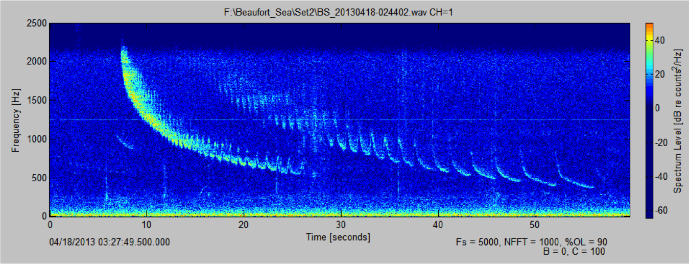 Bioacoustic Spectogram Bearded_Seal-Spectrogram-cropped « Animal Bioacoustics