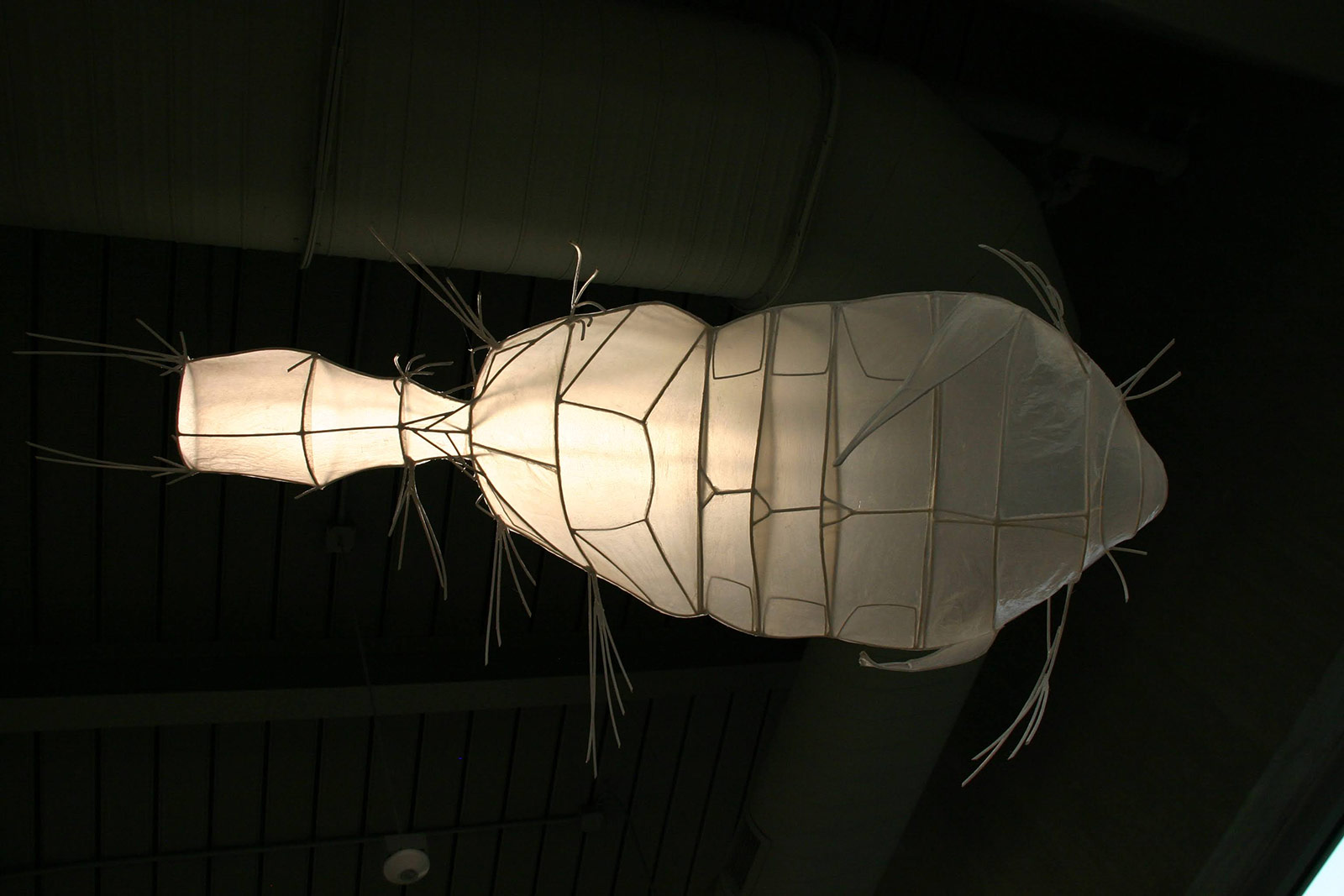 A fish parasite figure crafted from lightweight materials hanging in an art studio