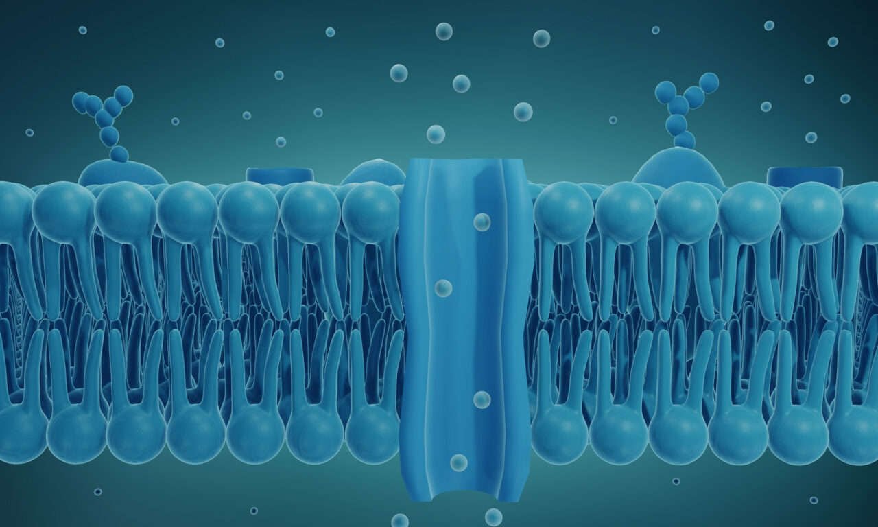 3D illustration of a pore in a biological membrane