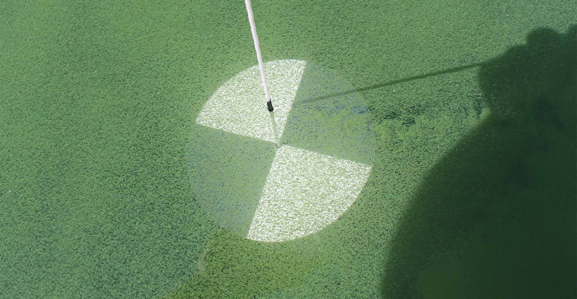 A submerged disk with white and black quadrants is obscured by algae.