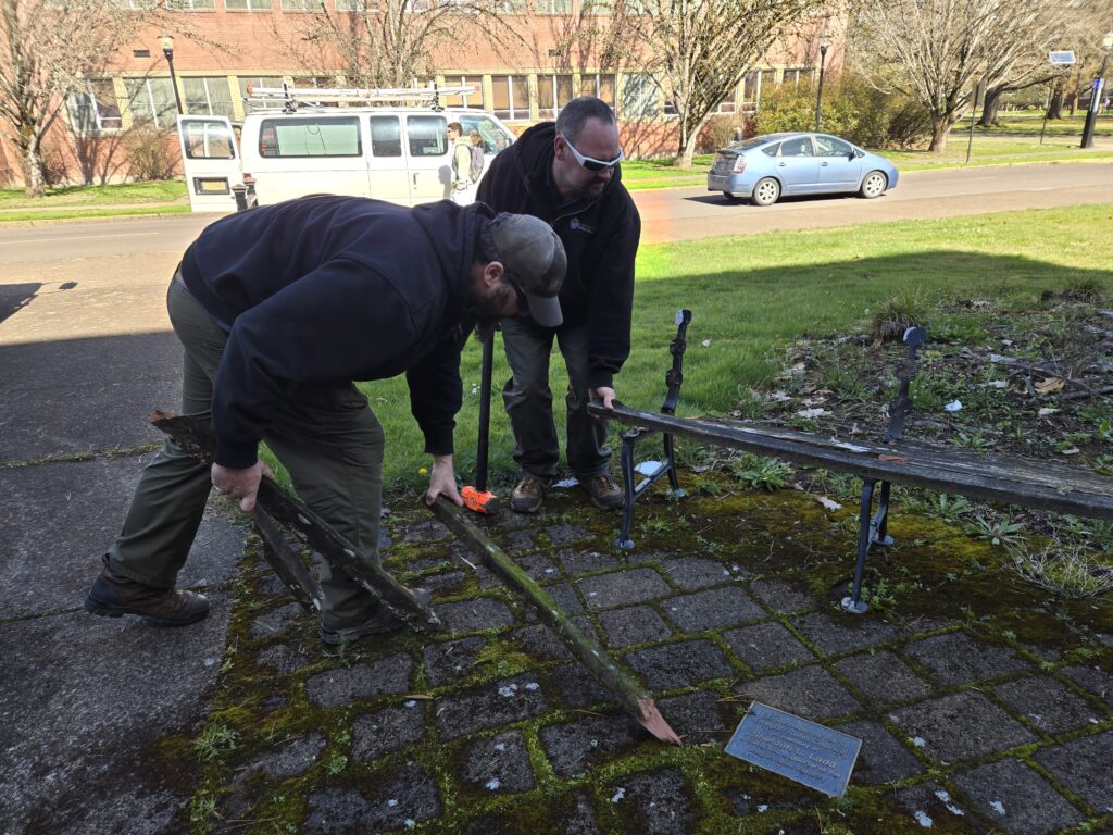 Two employees taking apart an old wooden bench.