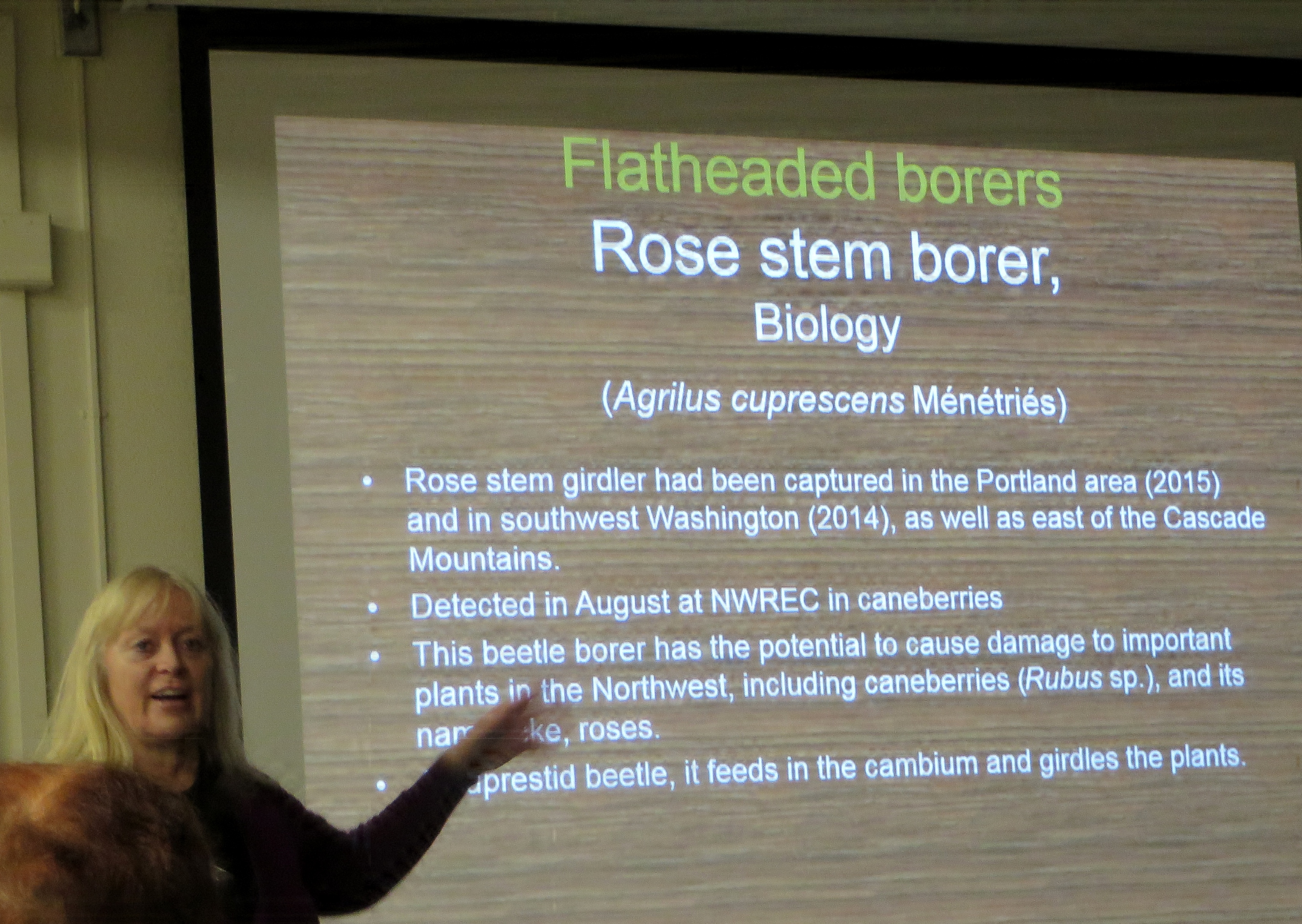 Photo of Robin Rosetta, OSU, teaching workshop about Boring Pests of Nursery Stock