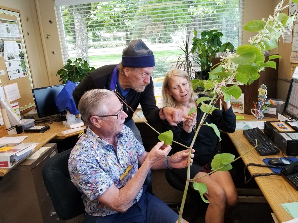 2 Master Gardeners sitting in Master Gardener helpline clinic, look at a large branch with leaves, as a client leans over and points at the branch.