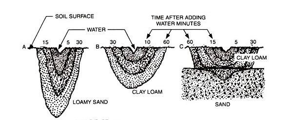 Illustration showing water movement in soils: loamy sand, clay loam, and sand.