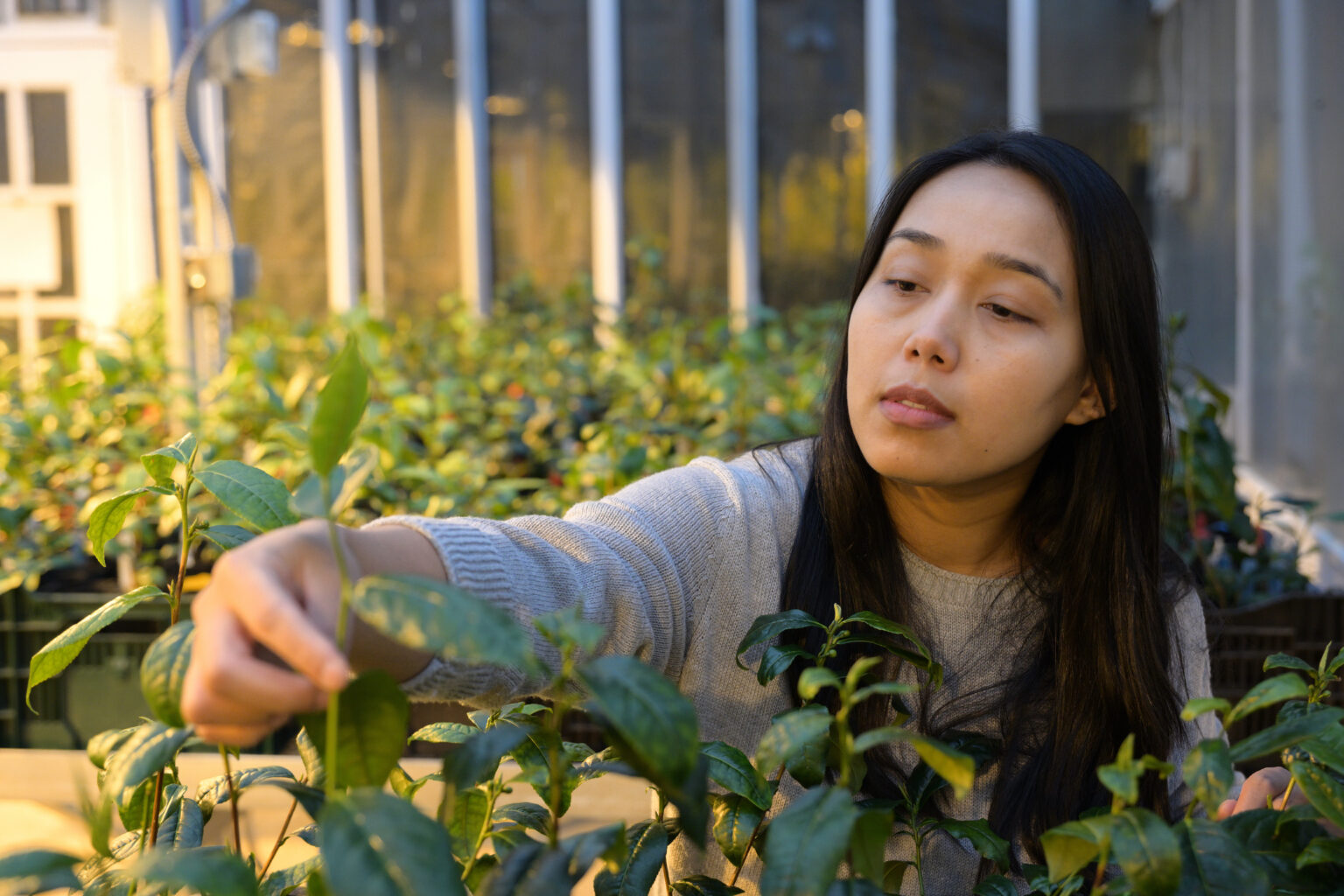 Srijana! Our metro area Master Gardener™ Program leader « OSU Extension Service Metro