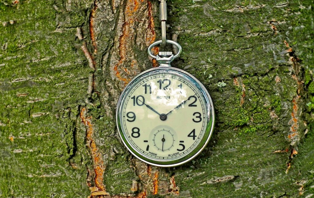 Pocket watch handing against the bark of a tree. The tree bark is green with moss and lichen.