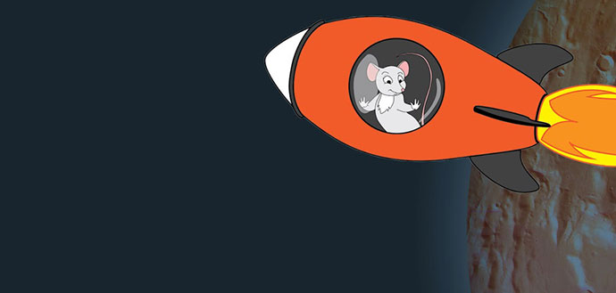 _Terra-Magazine-v3-header