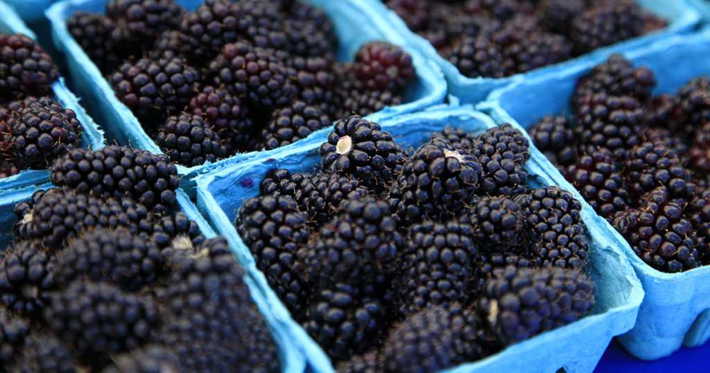 blackberries at Corvallis, OR farmers market