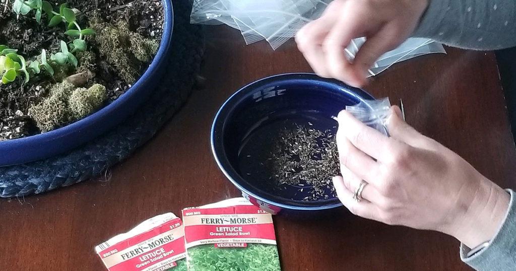 woman separating seeds for gardening