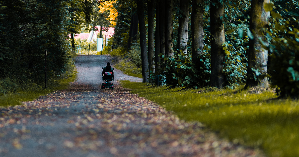 person in wheelchair goes down path of trees, leaves