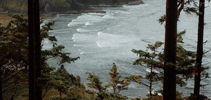 View of Oregon coast through nearby forest