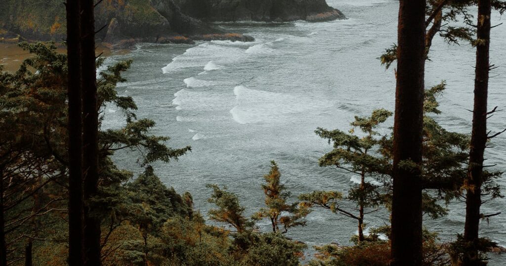 View of Oregon coast through nearby forest