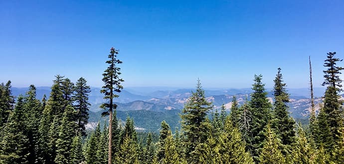 landscape photo of trees and mountains in Oregon