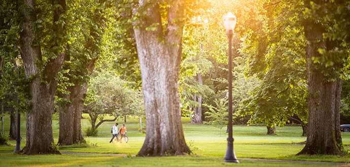 sunlight comes through trees on Oregon State University's Corvaliis campus