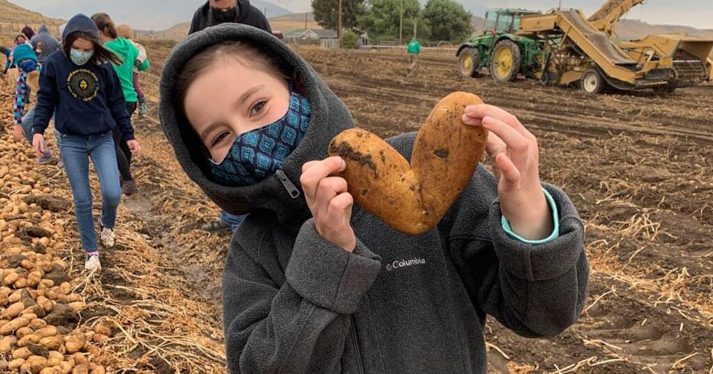 Young girl holds a potato shaped like a heart