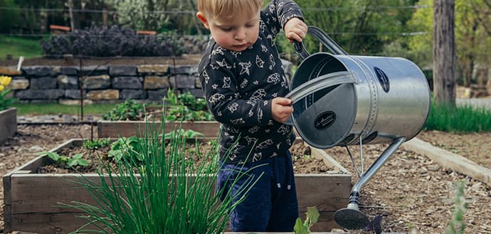 Toddler with watering can