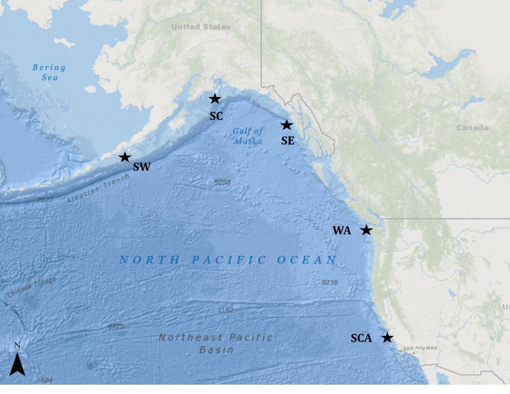 Sea Otter Management in the U.S. – Geospatial Ecology of Marine