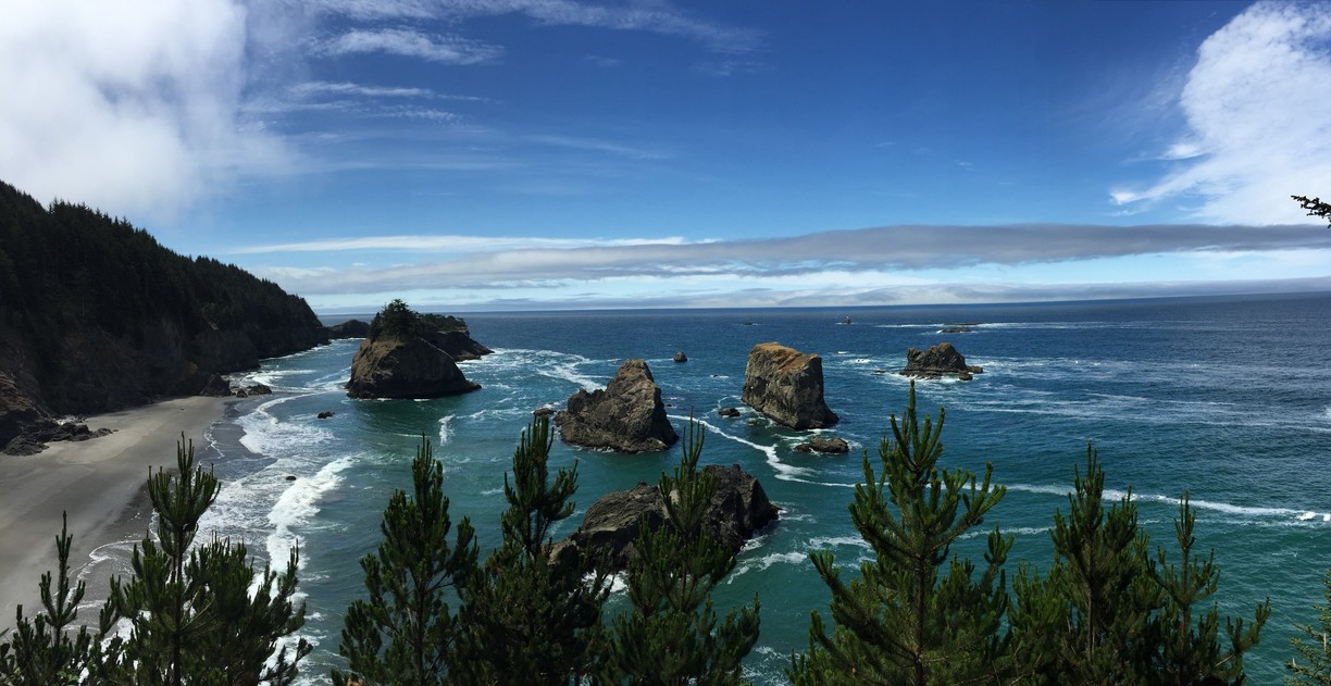 Oregon sea otter reintroduction: opinions, perspectives, and theories