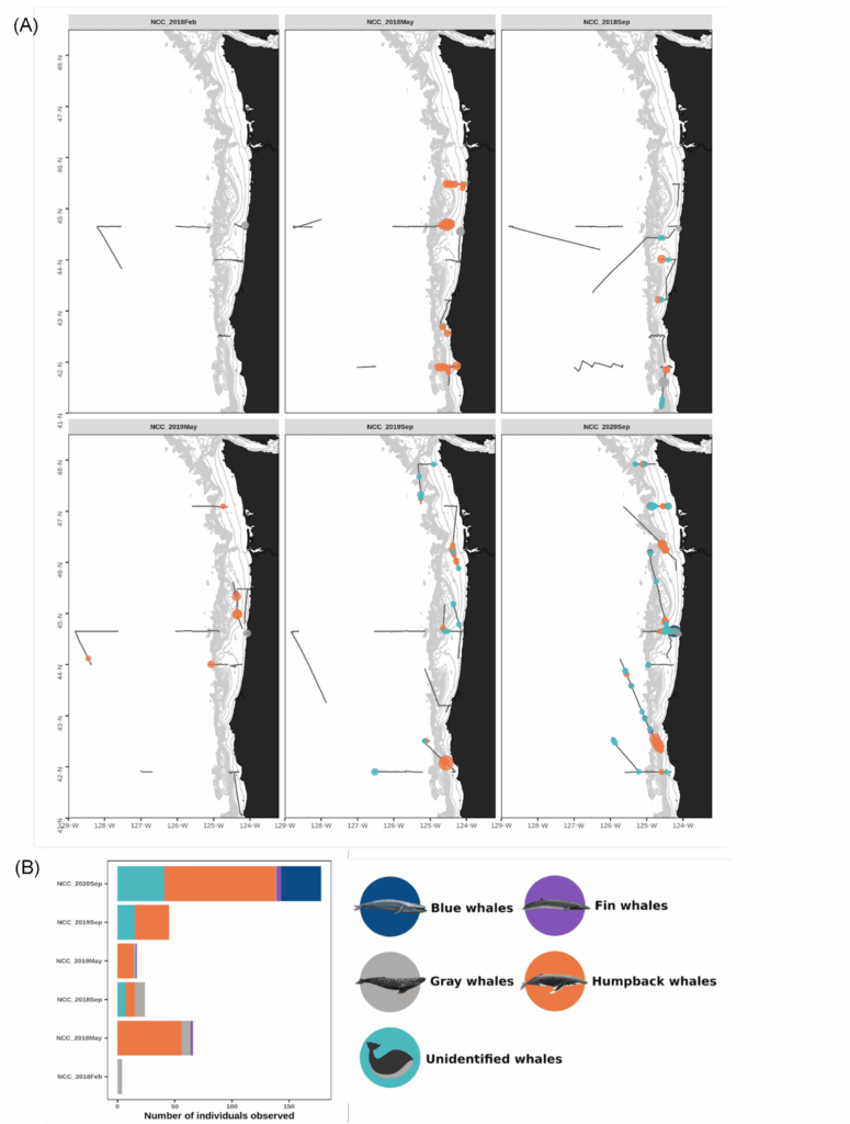 Marine Mammals Archives Geospatial Ecology Of Marine Megafauna Laboratory