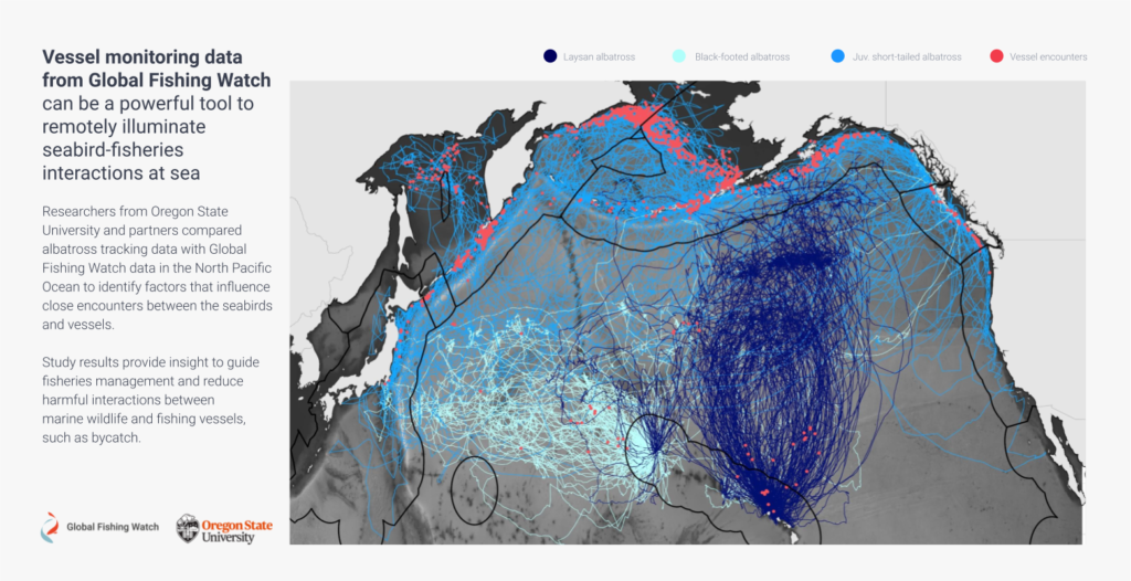 Predicting the distribution of the high seas longline fleet - Global Fishing  Watch