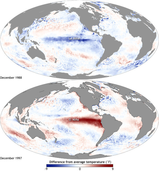 zooplankton – Geospatial Ecology of Marine Megafauna Laboratory