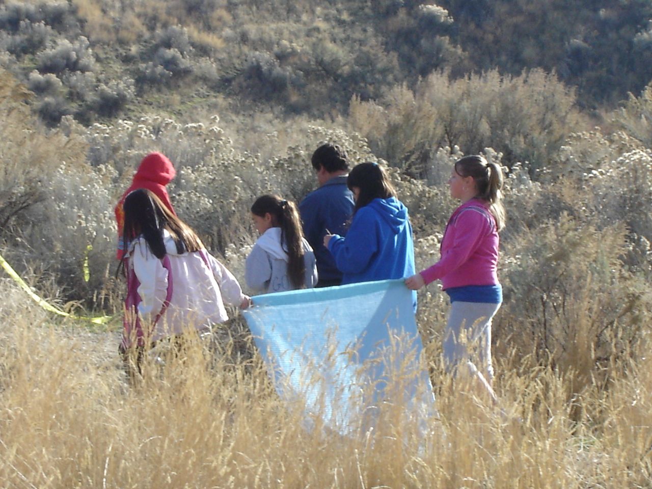 the-smile-program-osu-blog-archive-schoolyard-ecology-curriculum