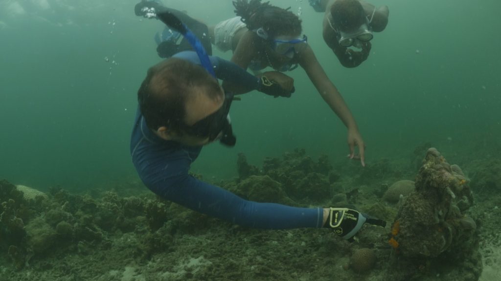 Scientist showing students corals