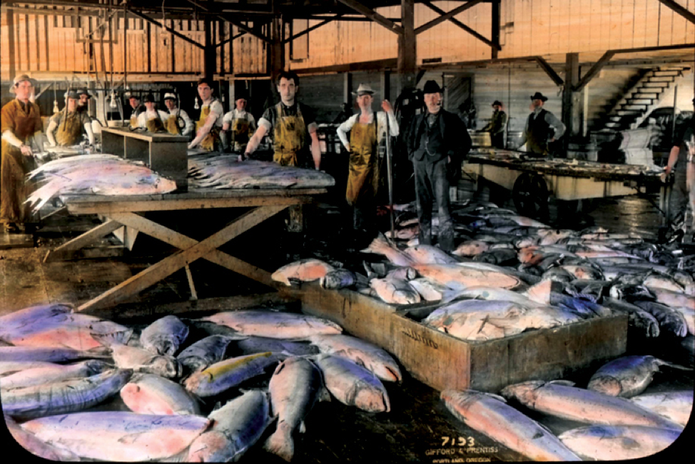 Commercial Fishing on the Oregon Coast « Extension's Sustainable