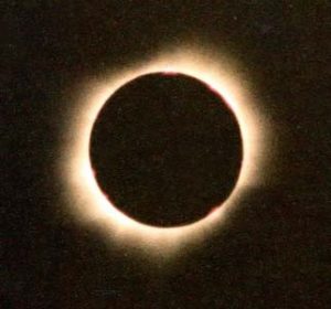 Solar eclipse (1981) showing sun's corona. A view that inspired the name of the virus that has upended everything at the current moment. image: Ray Thomas, http://brisray.com/