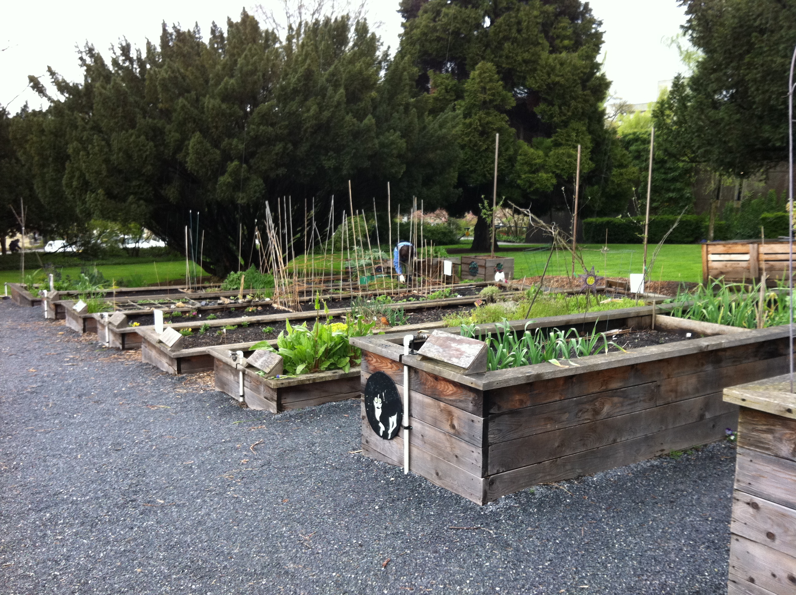 garden ecology lab