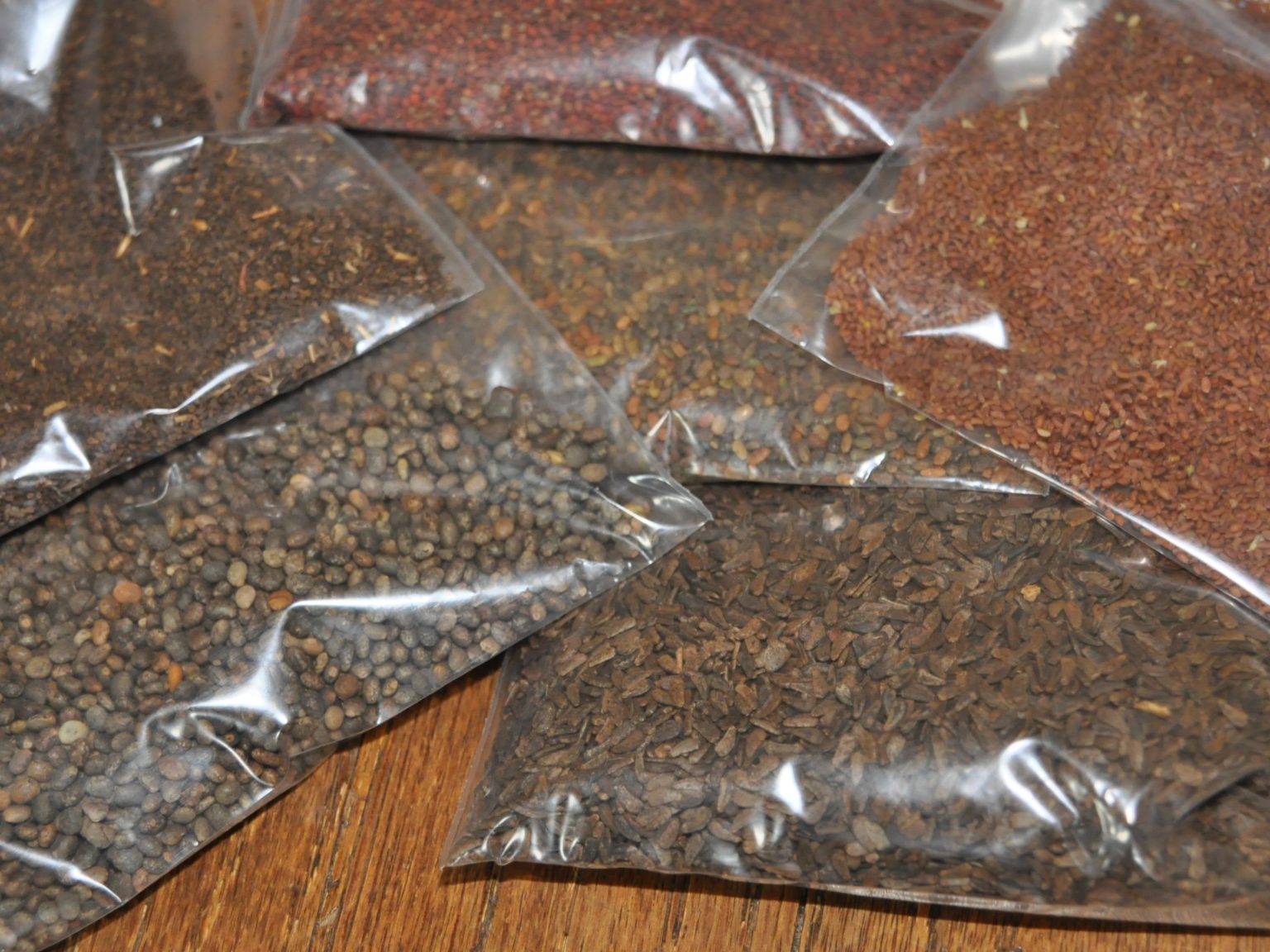 Where to buy native plants in Oregon? Garden Ecology Lab