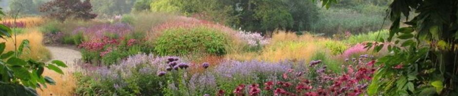 Flower-filled garden in Oudolf style