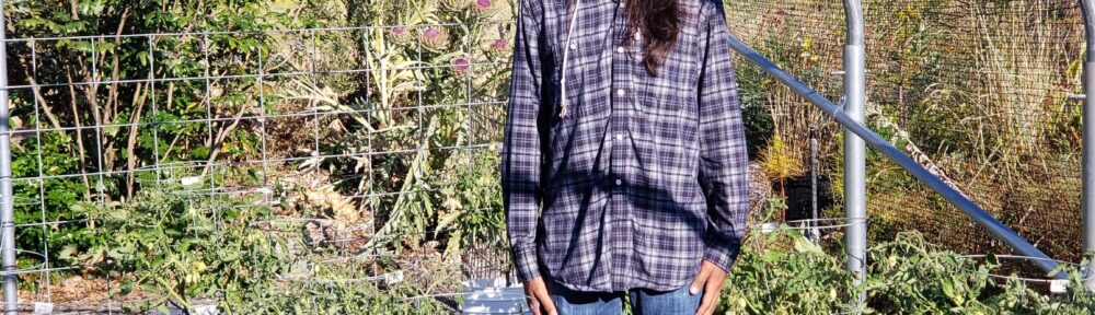 A student in jeans and a long sleeved shirt, wearing a mask, stands in the middle of his containerized tomato garden research plot.