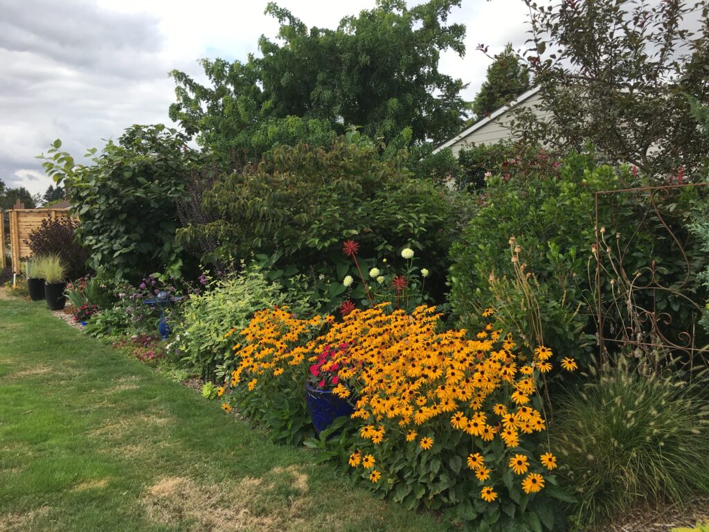 An image of garden flowers, with lawn in the foreground.