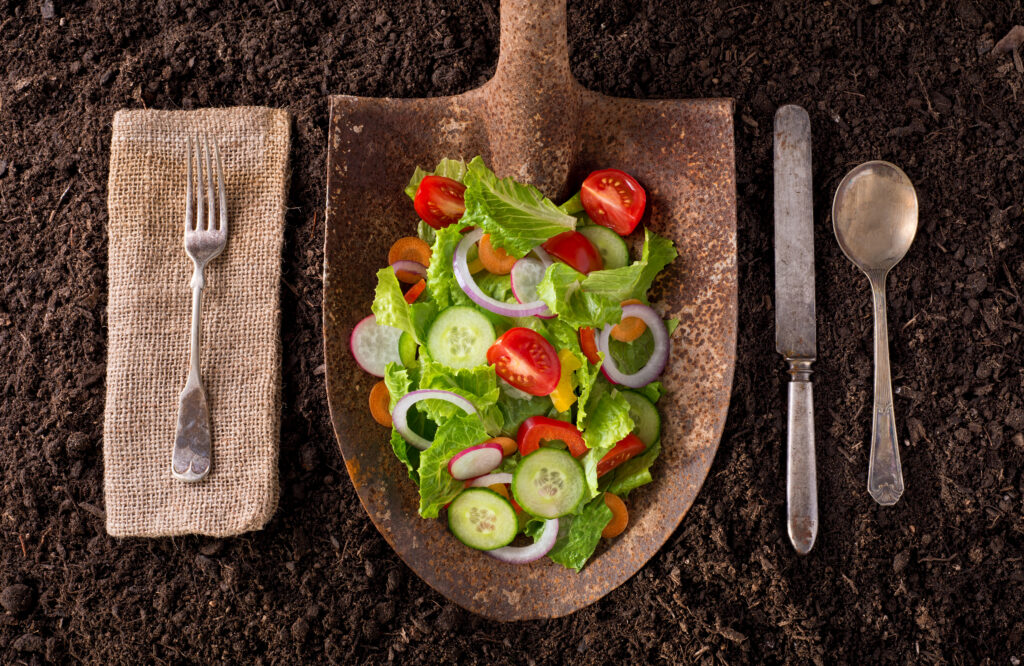 A place setting, on top of soil. In place of a plate is a shovel head full of vegetables. 