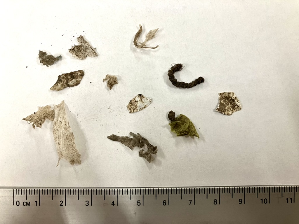 Fig. 4: Suspected macro-and meso-plastics, obtained after sieving composite soil sample