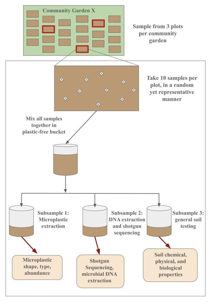 Fig. 2: Flowchart of sampling protocol. Composite sample taken from a single garden plot, divided into 3 subsamples. Subsample 1: microplastic extraction. Subsample 2: DNA extraction and shotgun sequencing. Subsample 3: general soil testing