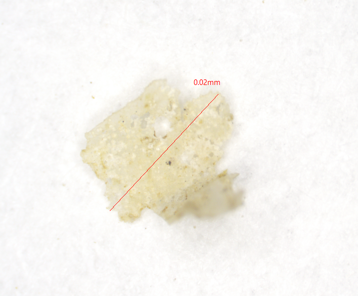 Fig. 14: Clear film MP, with some attached sediment
