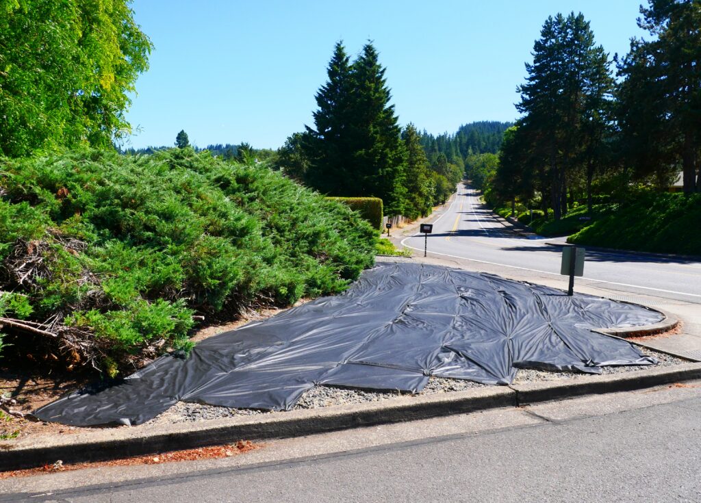 woven black plastic mulch being used in ornamental landscaping