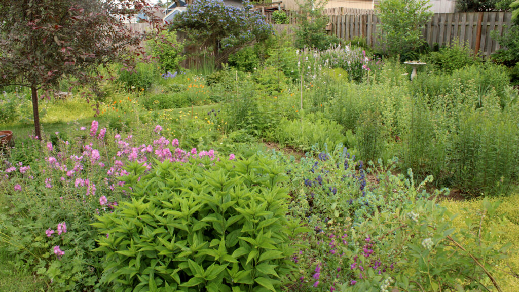 The Roots of Research: Part 1- Amy Campion