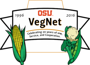 20-yr celebration banner with corn broccoli beans and cauliflower 1996 to 2016