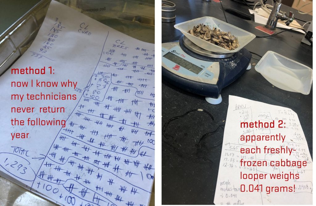 comparison of hand tally paper and scale