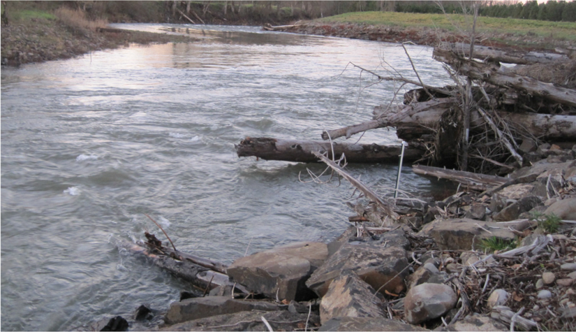 Ecohydraulics – River Engineering and Restoration