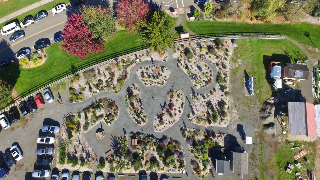 Aerial view of a demonstration garden with newly mulched planting beds in curved patterns, small plants spaced throughout, and gravel pathways dividing the sections, bordered by a wooden fence and parking area.