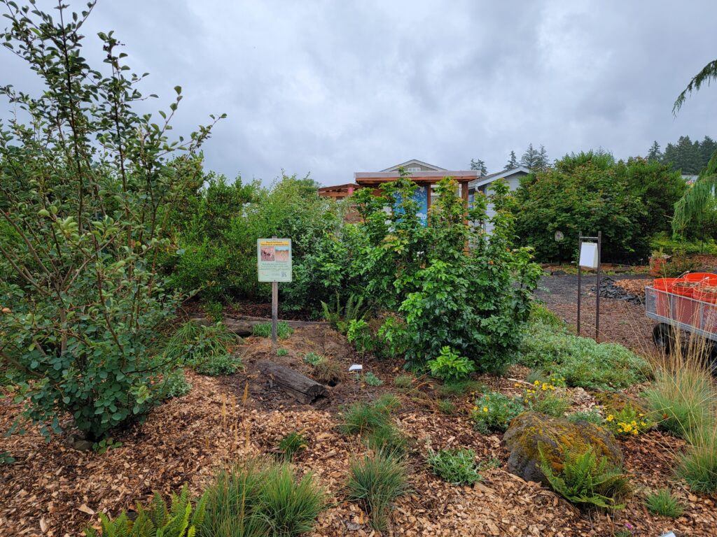 Garden area with shrubs, small trees, and mulched ground, featuring a wooden sign about pollinator habitat in the center, with buildings and a cart of orange bins visible in the background on a cloudy day.